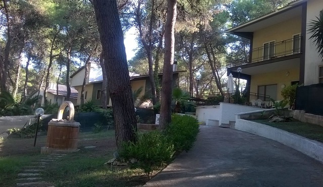 holiday home between the sea and the pinewood