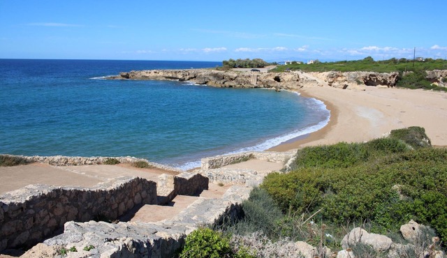 Holiday home situated directly at the sea, in a quiet, rural area, on abgesc