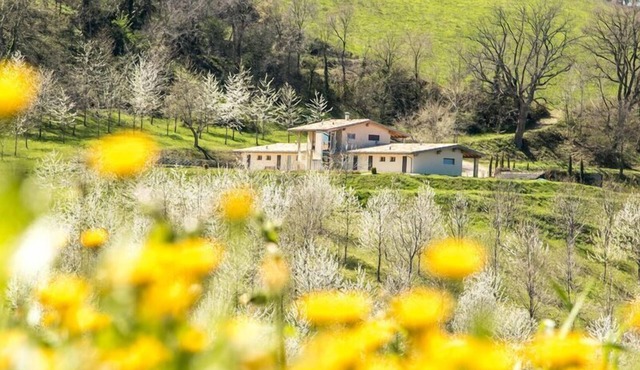 Holiday house Falerone for 1 - 19 persons with 7 bedrooms - Holiday home