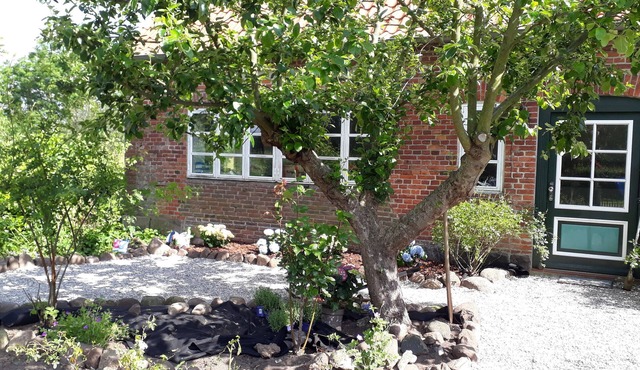 Holiday on the Gutshof-bright and friendly apartment near the Baltic Sea