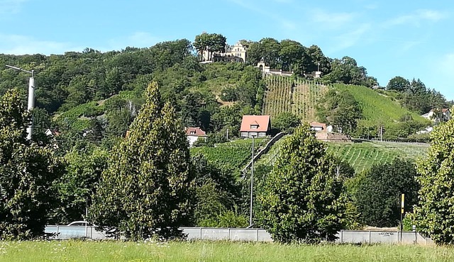 Holidays in Radebeul and Dresden