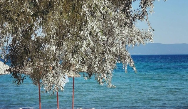 Holifera Hotel