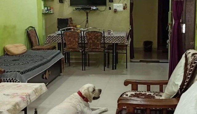 Home D.E.V