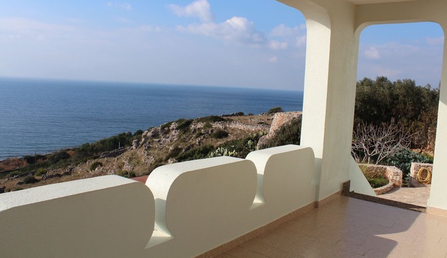 Home Overview San Gregorio
