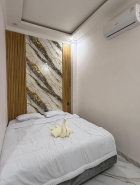 Homely Guest House