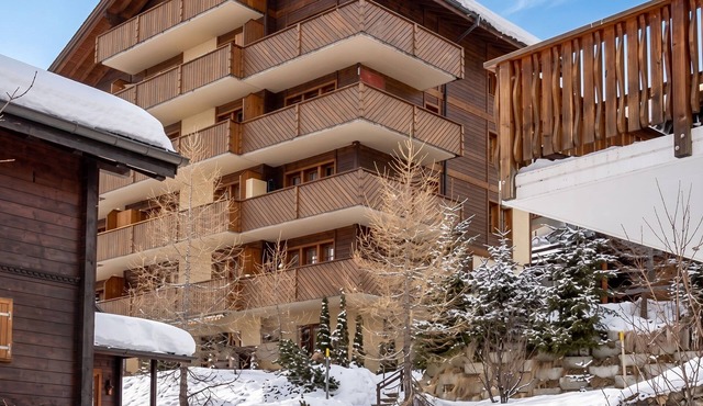 Homerez - Apt. mountain view - Bellwald