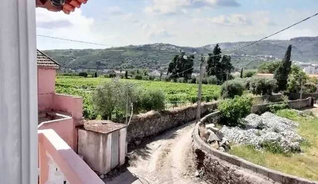Homerez - Comfortable House in Lamego with Unfenced Garden