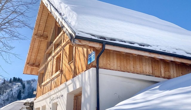 Homerez - Chalet in Les Avanchers-Valmorel