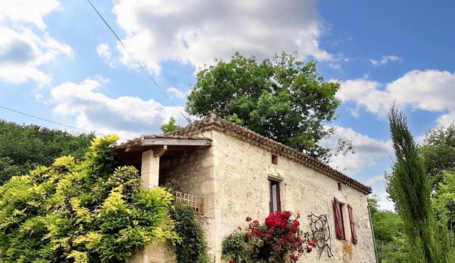 Homerez - House in Sauveterre
