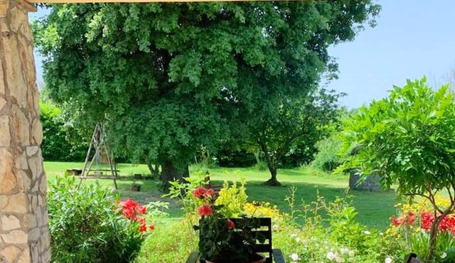 Homerez - Spacious house for 5 ppl. with garden at Bomarzo