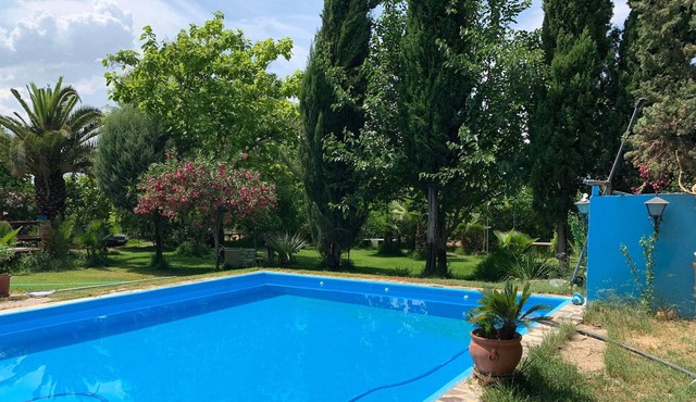 Homerez - Villa for 5 ppl. with swimming-pool, garden and terrace at Merida