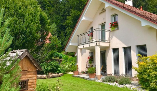 HomeSlovenia - your Home in the Heart of Slovenia