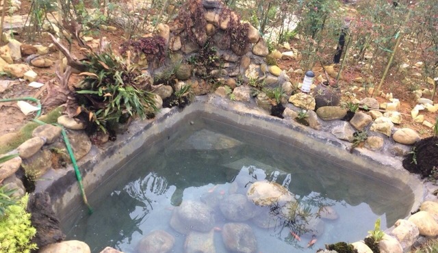 Homestay Vuon Hong Co