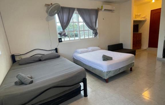 Homey studio in the CENTRO of town !