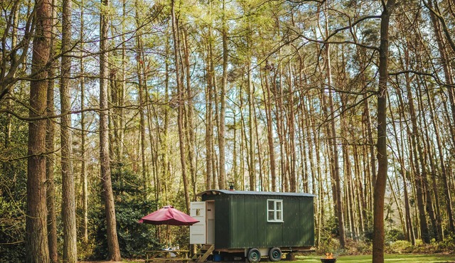 Honeysuckle Hut-QU7066