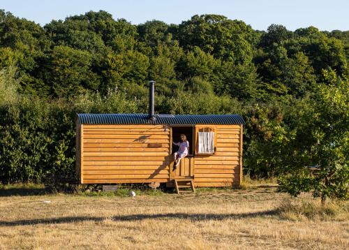 Honeysuckle Shepherds Hut at Blean Bees Eco Glamping