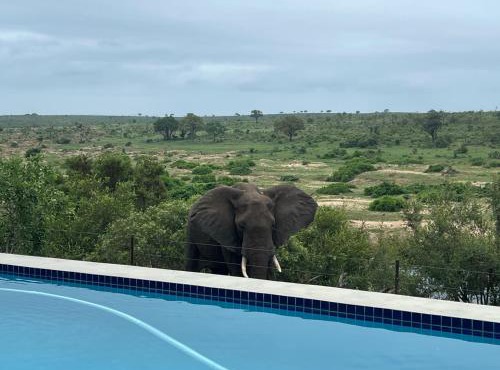 Horizons River Lodge Mjejane
