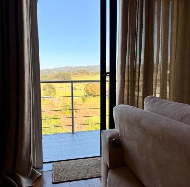 Horizonte da Vinha