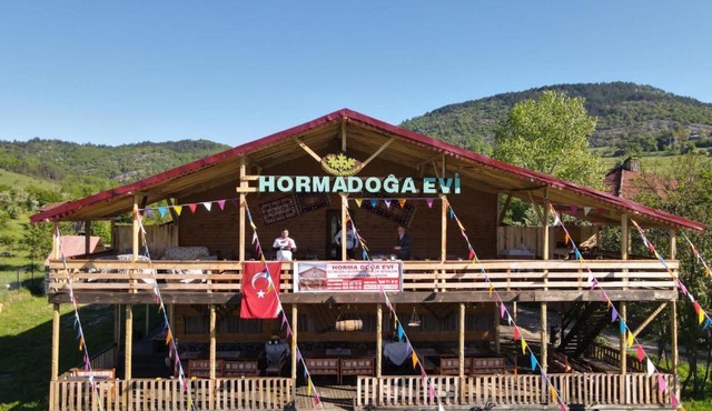 HORMA DOGA EVI
