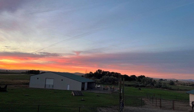 Horse property with indoor and outdoor arenas. Hosted lessons or special events!