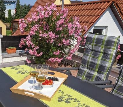 Hortensie Speyer