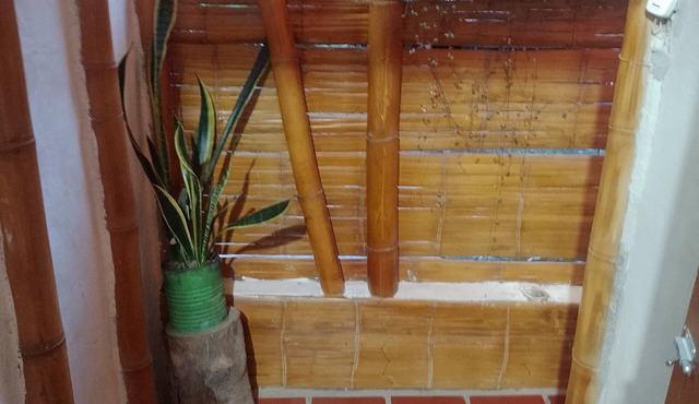 Hostal El Bambú