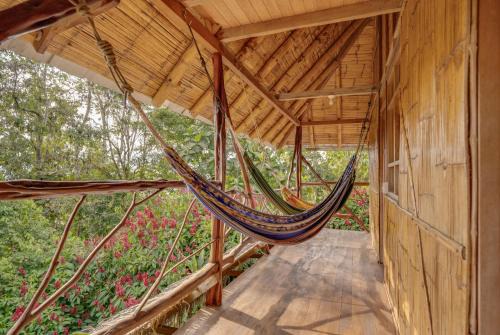 Hostal Pakay