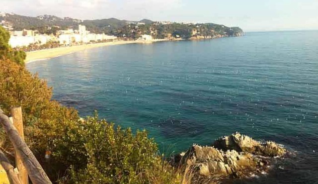 Hostal Ribas