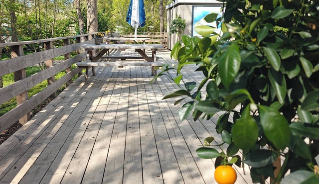 Hostel & Camping Frederiksværk City