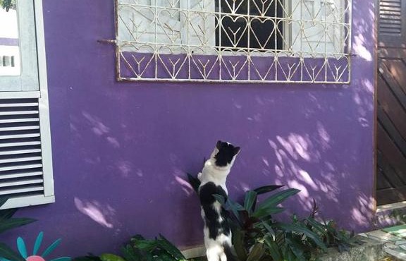 Hostel Margo House