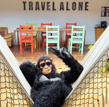 Hostel Trip Monkey Barichara