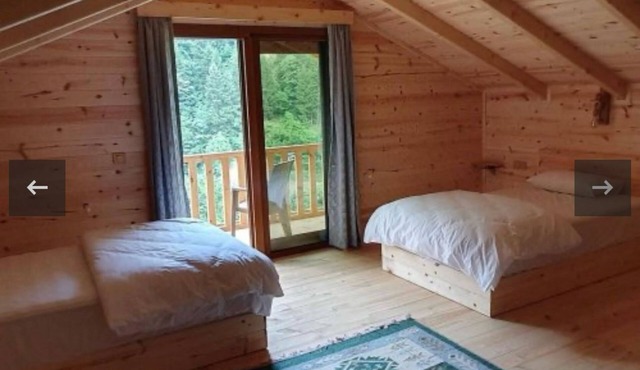 Hostel Viking