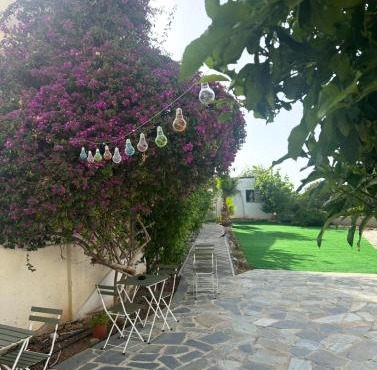 Hostl - Beds & Rooms - The Hostel Inn Paphos, Old Town