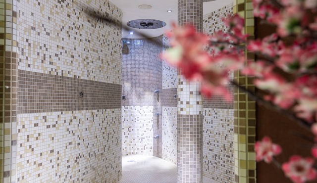 Hotel Alpine Mugon