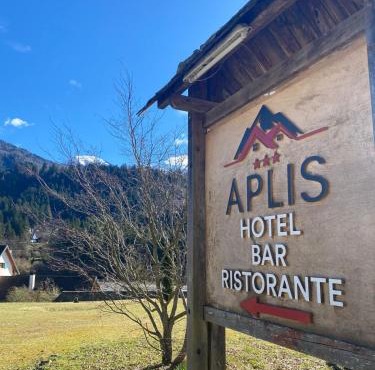 Hotel Aplis
