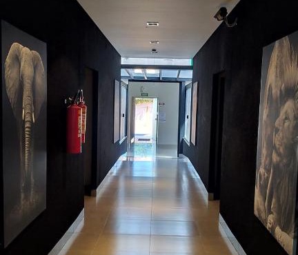 Hotel Barril