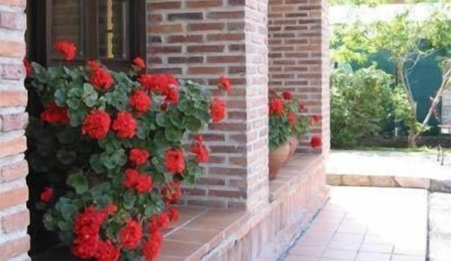 Hotel Benzúa