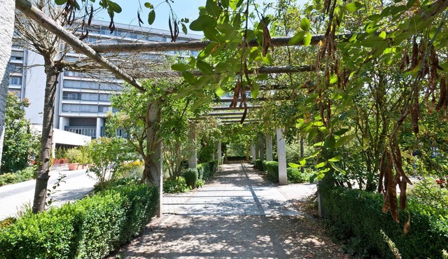Hotel Bildungsblick