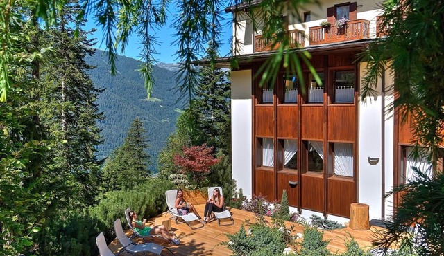 Hotel Caminetto