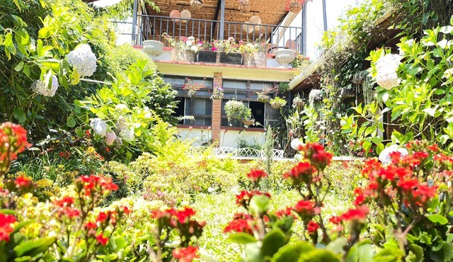 Hotel Casa Chapultepec - Hostel