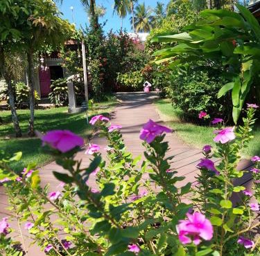 Hotel Casa Robinson