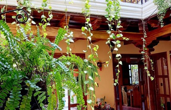 Hotel Casa Sofia