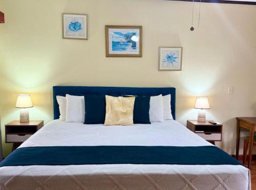 Hotel Delfin Playa Bejuco