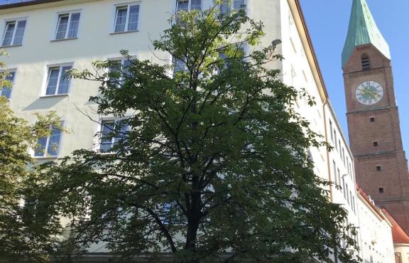 Hotel Der Tannenbaum