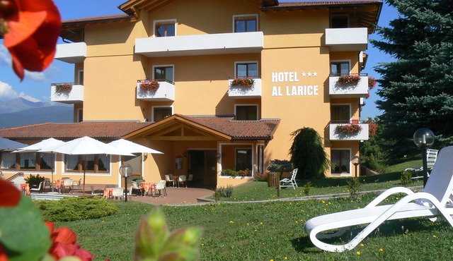 Hotel e Appartamenti Al Larice