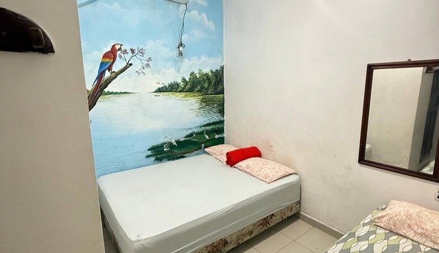 hotel eccon amazon