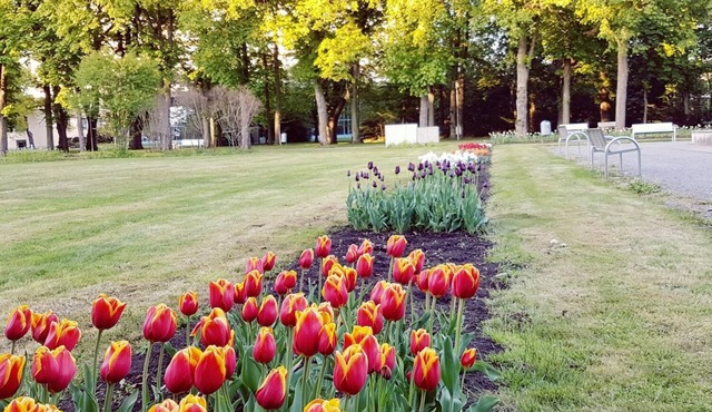 Hotel Garni Goldene Traube