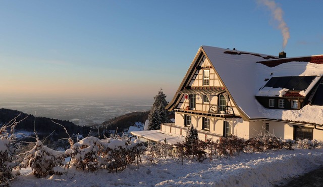 Hotel Grüner Baum