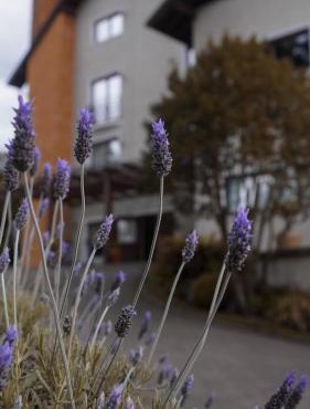 Hotel Gramado Interlaken