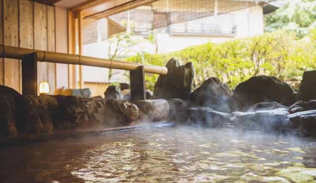 Hotel Hanakoyado